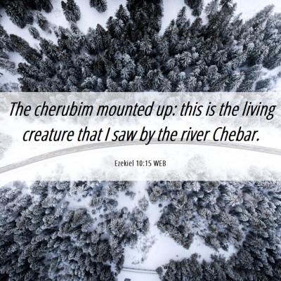 Picture 06 - Ezekiel 10:15 WEB - The cherubim mounted up: this is the living - Bible Verse Picture
