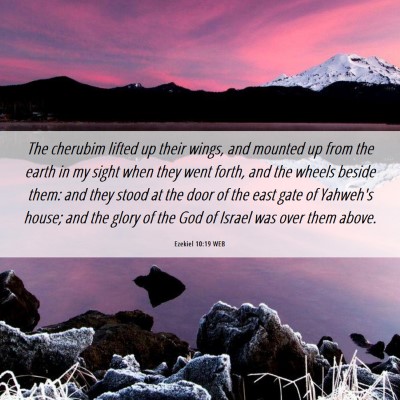 Picture 06 - Ezekiel 10:19 WEB - The cherubim lifted up their wings, and mounted - Bible Verse Picture