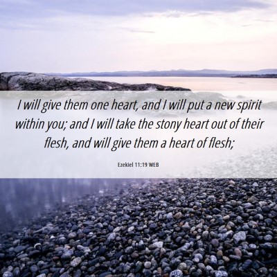 Picture 06 - Ezekiel 11:19 WEB - I will give them one heart, and I will put a new - Bible Verse Picture