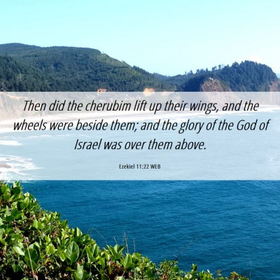 Picture 06 - Ezekiel 11:22 WEB - Then did the cherubim lift up their wings, and - Bible Verse Picture