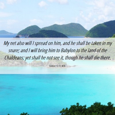Picture 06 - Ezekiel 12:13 WEB - My net also will I spread on him, and he shall be - Bible Verse Picture