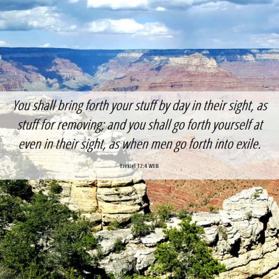 Picture 06 - Ezekiel 12:4 WEB - You shall bring forth your stuff by day in their - Bible Verse Picture