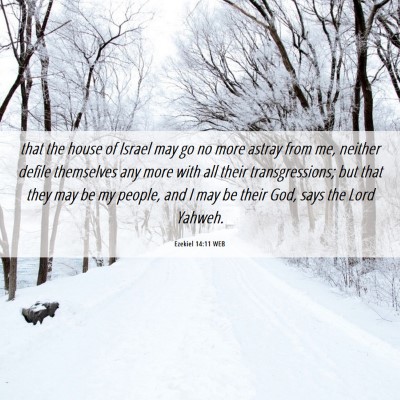 Picture 06 - Ezekiel 14:11 WEB - that the house of Israel may go no more astray - Bible Verse Picture