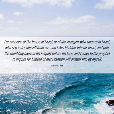 Picture 06 - Ezekiel 14:7 WEB - For everyone of the house of Israel, or of the - Bible Verse Picture