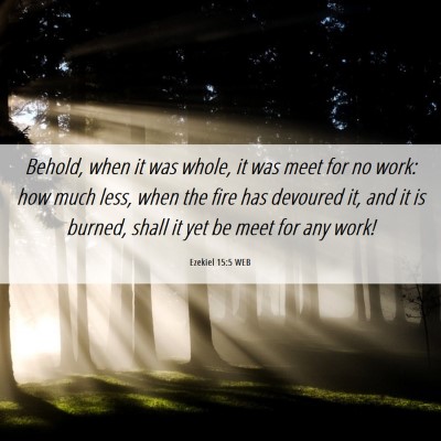Picture 06 - Ezekiel 15:5 WEB - Behold, when it was whole, it was meet for no - Bible Verse Picture