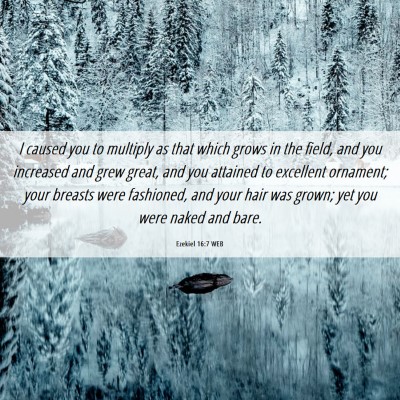 Picture 06 - Ezekiel 16:7 WEB - I caused you to multiply as that which grows in - Bible Verse Picture