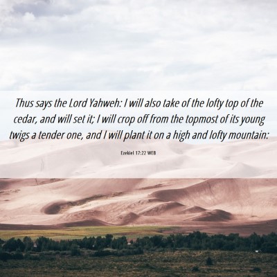 Picture 06 - Ezekiel 17:22 WEB - Thus says the Lord Yahweh: I will also take of - Bible Verse Picture