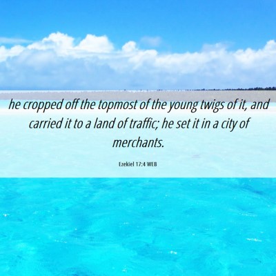 Picture 06 - Ezekiel 17:4 WEB - he cropped off the topmost of the young twigs of - Bible Verse Picture