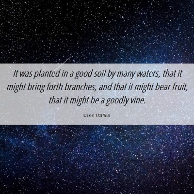 Picture 06 - Ezekiel 17:8 WEB - It was planted in a good soil by many waters, - Bible Verse Picture