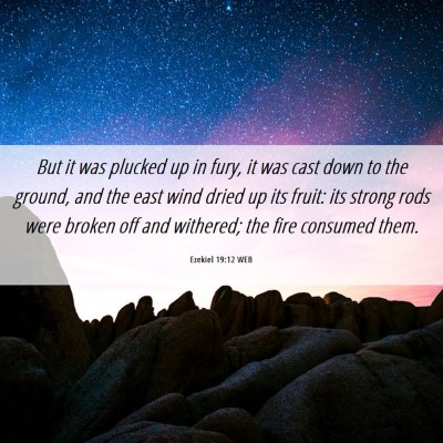 Picture 06 - Ezekiel 19:12 WEB - But it was plucked up in fury, it was cast down - Bible Verse Picture