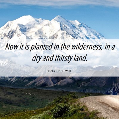 Picture 06 - Ezekiel 19:13 WEB - Now it is planted in the wilderness, in a dry and - Bible Verse Picture