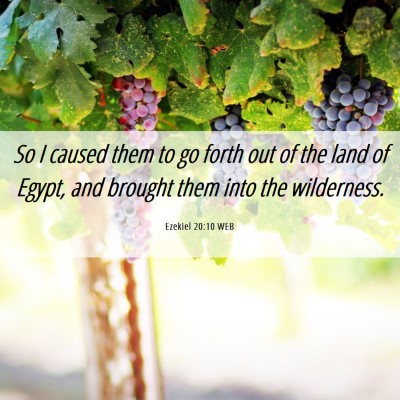Picture 06 - Ezekiel 20:10 WEB - So I caused them to go forth out of the land of - Bible Verse Picture
