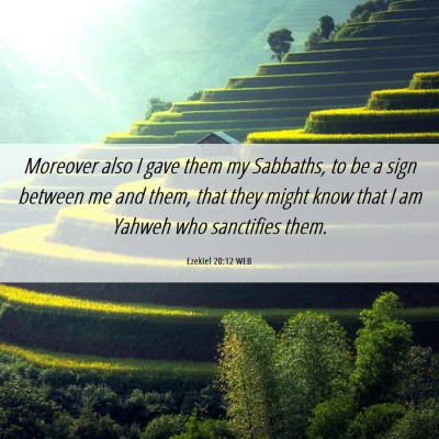 Picture 06 - Ezekiel 20:12 WEB - Moreover also I gave them my Sabbaths, to be a - Bible Verse Picture