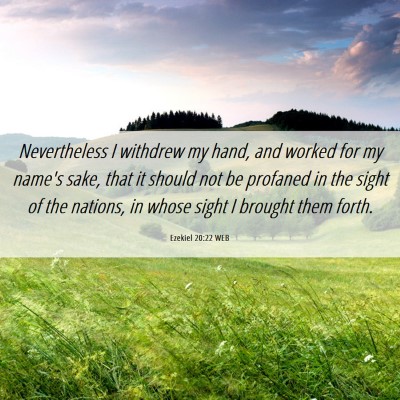 Picture 06 - Ezekiel 20:22 WEB - Nevertheless I withdrew my hand, and worked for - Bible Verse Picture