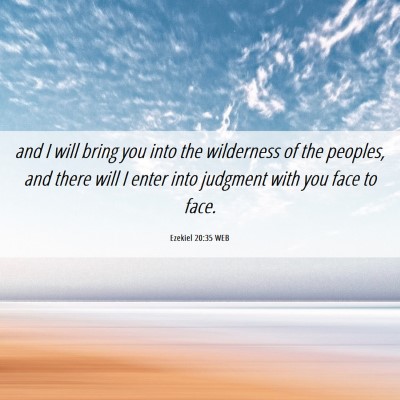 Picture 06 - Ezekiel 20:35 WEB - and I will bring you into the wilderness of the - Bible Verse Picture