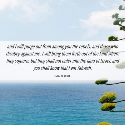 Picture 06 - Ezekiel 20:38 WEB - and I will purge out from among you the rebels, - Bible Verse Picture