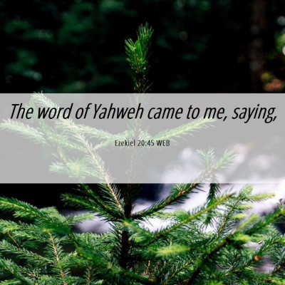 Picture 06 - Ezekiel 20:45 WEB - The word of Yahweh came to me, - Bible Verse Picture