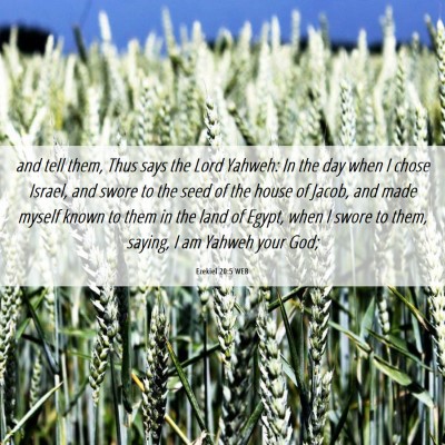 Picture 06 - Ezekiel 20:5 WEB - and tell them, Thus says the Lord Yahweh: In the - Bible Verse Picture