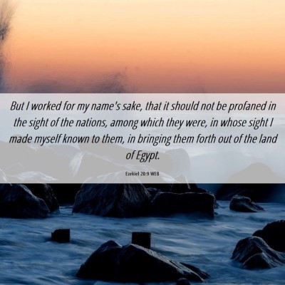 Picture 06 - Ezekiel 20:9 WEB - But I worked for my name's sake, that it should - Bible Verse Picture