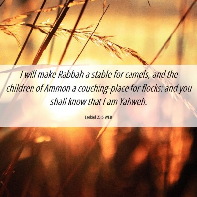 Picture 06 - Ezekiel 25:5 WEB - I will make Rabbah a stable for camels, and the - Bible Verse Picture