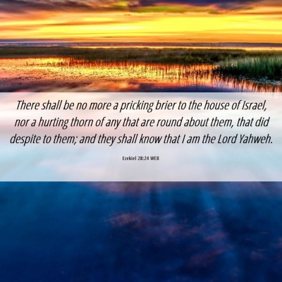 Picture 06 - Ezekiel 28:24 WEB - There shall be no more a pricking brier to the - Bible Verse Picture
