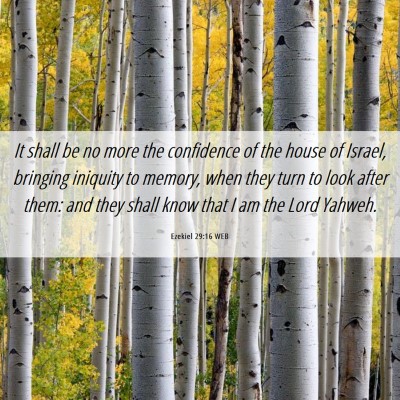 Picture 06 - Ezekiel 29:16 WEB - It shall be no more the confidence of the house - Bible Verse Picture