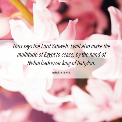 Picture 06 - Ezekiel 30:10 WEB - Thus says the Lord Yahweh: I will also make the - Bible Verse Picture