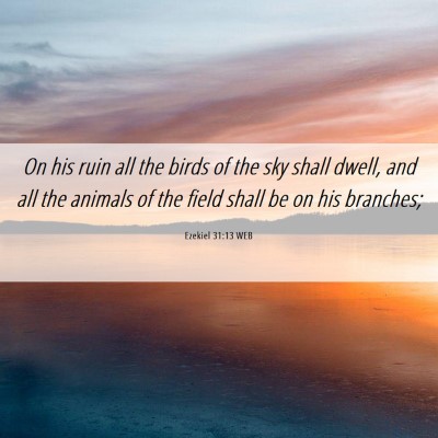 Picture 06 - Ezekiel 31:13 WEB - On his ruin all the birds of the sky shall dwell, - Bible Verse Picture