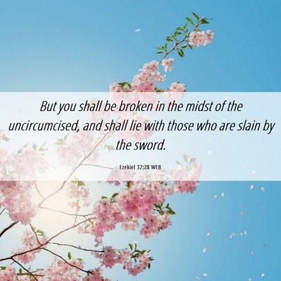 Picture 06 - Ezekiel 32:28 WEB - But you shall be broken in the midst of the - Bible Verse Picture