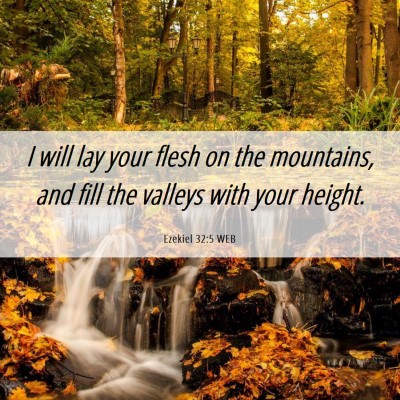 Picture 06 - Ezekiel 32:5 WEB - I will lay your flesh on the mountains, and fill - Bible Verse Picture