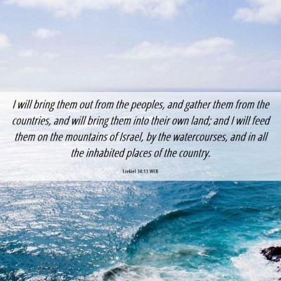 Picture 06 - Ezekiel 34:13 WEB - I will bring them out from the peoples, and - Bible Verse Picture