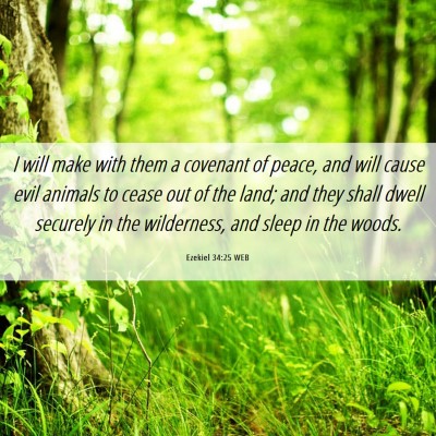 Picture 06 - Ezekiel 34:25 WEB - I will make with them a covenant of peace, and - Bible Verse Picture