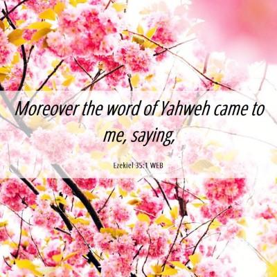 Picture 06 - Ezekiel 35:1 WEB - Moreover the word of Yahweh came to me, - Bible Verse Picture