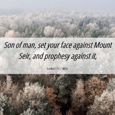 Picture 06 - Ezekiel 35:2 WEB - Son of man, set your face against Mount Seir, and - Bible Verse Picture