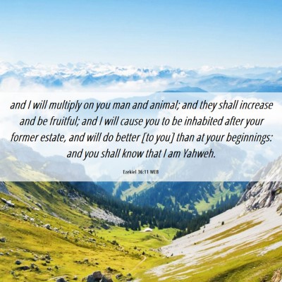 Picture 06 - Ezekiel 36:11 WEB - and I will multiply on you man and animal; and - Bible Verse Picture