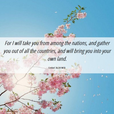 Picture 06 - Ezekiel 36:24 WEB - For I will take you from among the nations, and - Bible Verse Picture