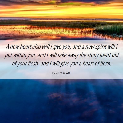 Picture 06 - Ezekiel 36:26 WEB - A new heart also will I give you, and a new - Bible Verse Picture