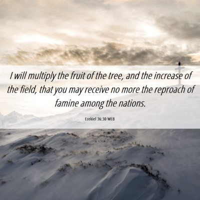 Picture 06 - Ezekiel 36:30 WEB - I will multiply the fruit of the tree, and the - Bible Verse Picture
