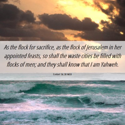 Picture 06 - Ezekiel 36:38 WEB - As the flock for sacrifice, as the flock of - Bible Verse Picture