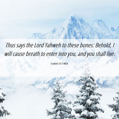 Picture 06 - Ezekiel 37:5 WEB - Thus says the Lord Yahweh to these bones: Behold, - Bible Verse Picture