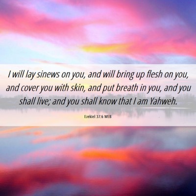 Picture 06 - Ezekiel 37:6 WEB - I will lay sinews on you, and will bring up flesh - Bible Verse Picture