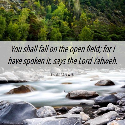Picture 06 - Ezekiel 39:5 WEB - You shall fall on the open field; for I have - Bible Verse Picture