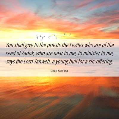 Picture 06 - Ezekiel 43:19 WEB - You shall give to the priests the Levites who are - Bible Verse Picture