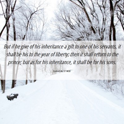 Picture 06 - Ezekiel 46:17 WEB - But if he give of his inheritance a gift to one - Bible Verse Picture