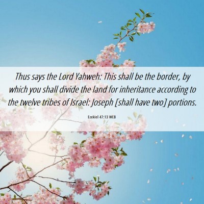 Picture 06 - Ezekiel 47:13 WEB - Thus says the Lord Yahweh: This shall be the - Bible Verse Picture