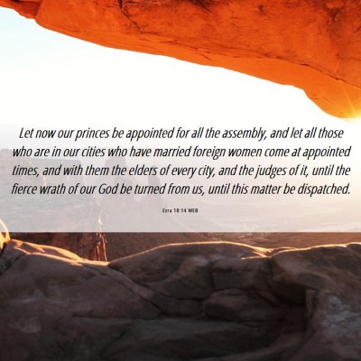 Picture 06 - Ezra 10:14 WEB - Let now our princes be appointed for all the - Bible Verse Picture