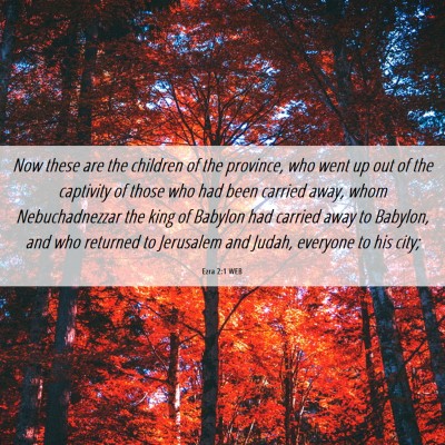 Picture 06 - Ezra 2:1 WEB - Now these are the children of the province, who - Bible Verse Picture