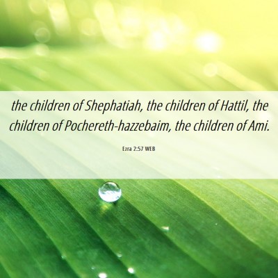 Picture 06 - Ezra 2:57 WEB - the children of Shephatiah, the children of - Bible Verse Picture