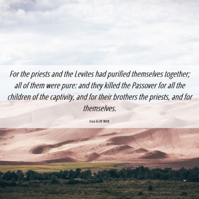 Picture 06 - Ezra 6:20 WEB - For the priests and the Levites had purified - Bible Verse Picture