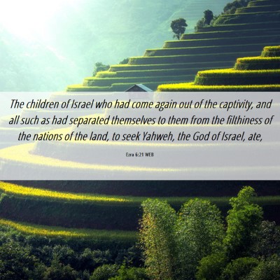Picture 06 - Ezra 6:21 WEB - The children of Israel who had come again out of - Bible Verse Picture